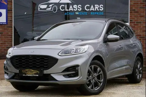 Annonce FORD KUGA Hybride 2024 d'occasion 