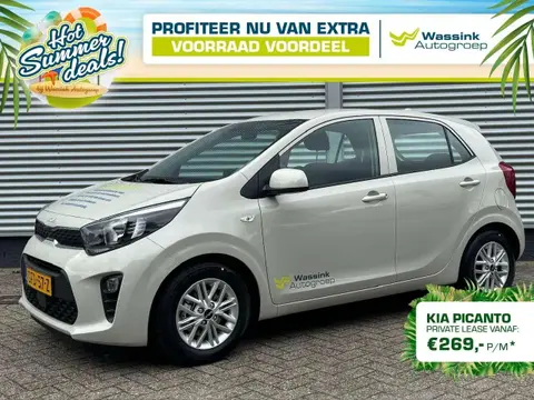 Used KIA PICANTO Petrol 2024 Ad 