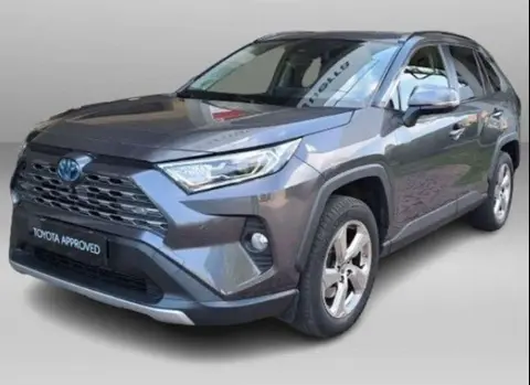 Used TOYOTA RAV4 Hybrid 2019 Ad 