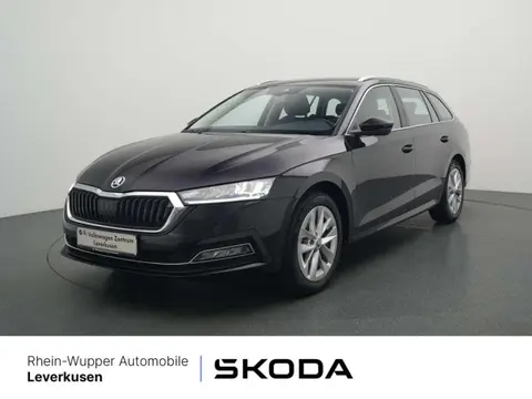 Annonce SKODA OCTAVIA Essence 2024 d'occasion 