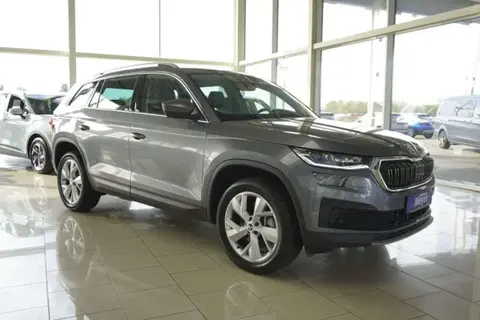 Used SKODA KODIAQ Diesel 2024 Ad 