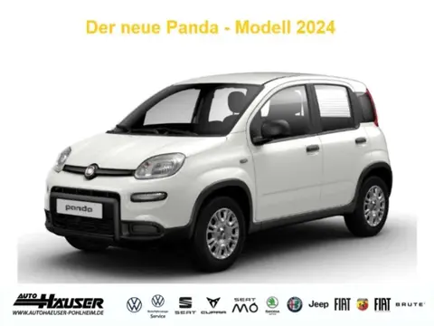 Annonce FIAT PANDA Essence 2024 d'occasion 