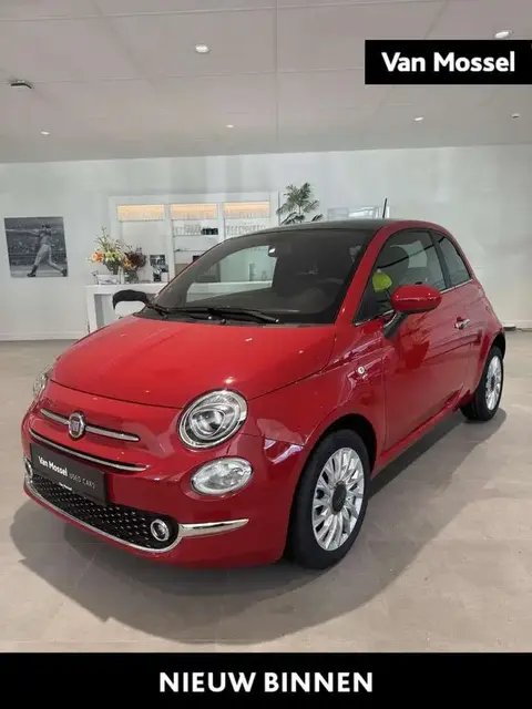 Used FIAT 500 Petrol 2023 Ad 