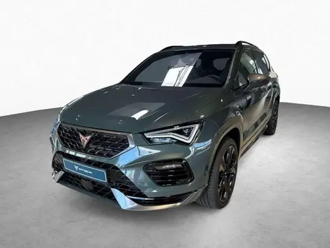 Annonce CUPRA ATECA Essence 2024 d'occasion 