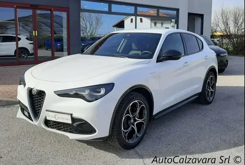 Used ALFA ROMEO STELVIO Diesel 2024 Ad 