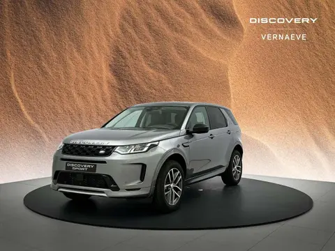 Used LAND ROVER DISCOVERY Hybrid 2024 Ad Belgium