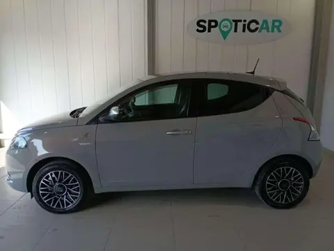 Used LANCIA YPSILON LPG 2023 Ad 