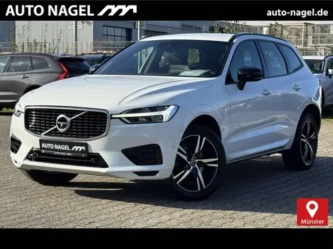 Annonce VOLVO XC60 Diesel 2019 d'occasion 