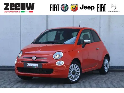 Used FIAT 500 Petrol 2024 Ad 