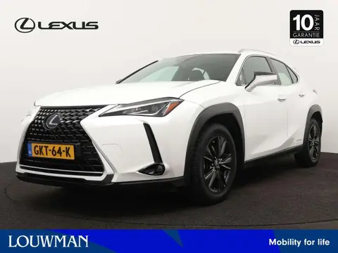 Used LEXUS UX Hybrid 2020 Ad 