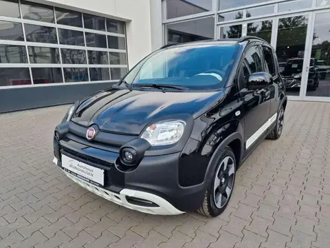 Used FIAT PANDA Petrol 2024 Ad 