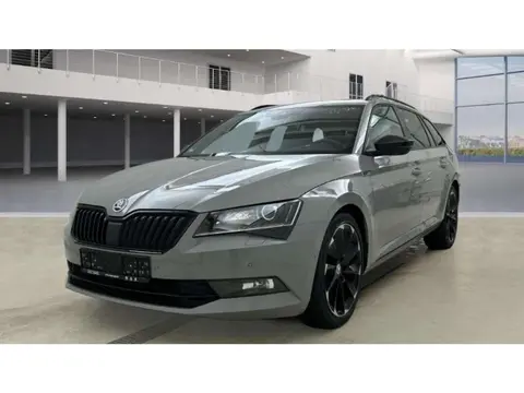 Annonce SKODA SUPERB Diesel 2019 d'occasion 