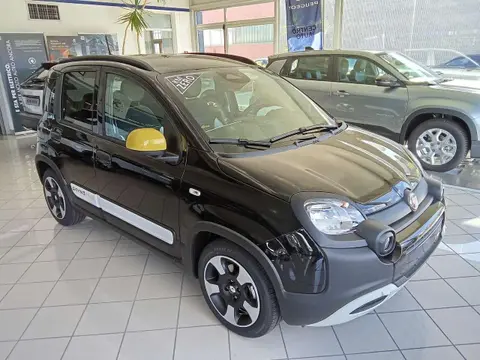 Used FIAT PANDA Hybrid 2024 Ad 