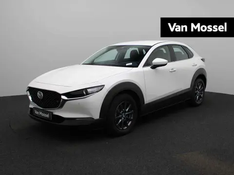 Used MAZDA CX-30 Diesel 2020 Ad 