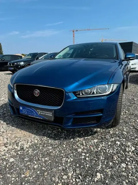 Annonce JAGUAR XE Diesel 2016 d'occasion 