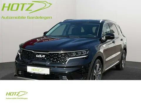 Annonce KIA SORENTO Diesel 2024 d'occasion 