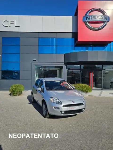 Annonce FIAT PUNTO  2017 d'occasion 