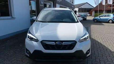 Annonce SUBARU XV Essence 2023 d'occasion 