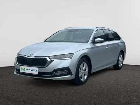 Annonce SKODA OCTAVIA Essence 2023 d'occasion 