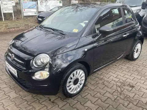 Used FIAT 500 Petrol 2023 Ad 