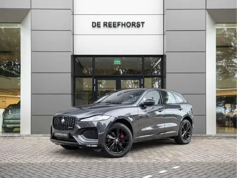 Used JAGUAR F-PACE Hybrid 2021 Ad 