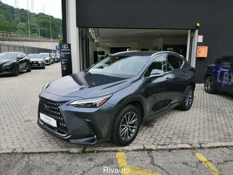 Annonce LEXUS NX Hybride 2022 d'occasion 