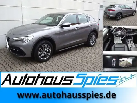 Used ALFA ROMEO STELVIO Diesel 2021 Ad 