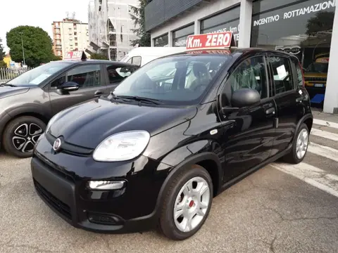 Annonce FIAT PANDA Hybride 2024 d'occasion 