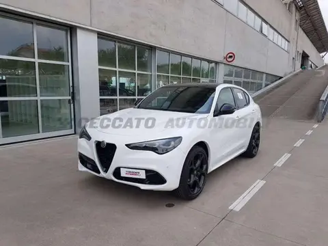 Used ALFA ROMEO STELVIO Diesel 2024 Ad 