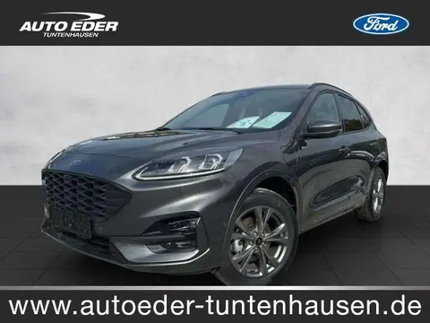 Used FORD KUGA Hybrid 2024 Ad 