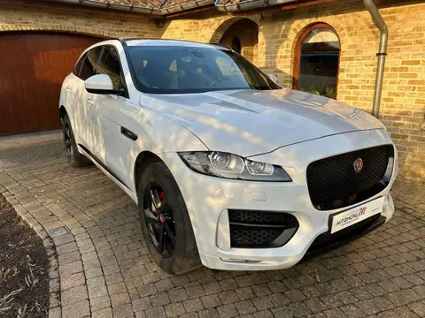 Used JAGUAR F-PACE Petrol 2019 Ad 