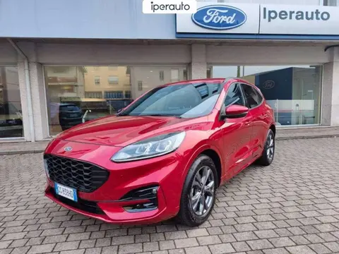 Used FORD KUGA Petrol 2021 Ad 