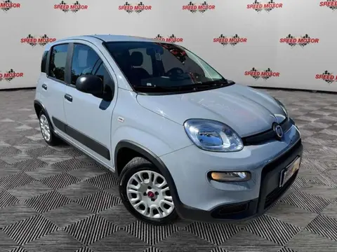 Annonce FIAT PANDA GPL 2023 d'occasion 