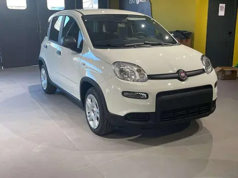 Used FIAT PANDA Hybrid 2024 Ad 