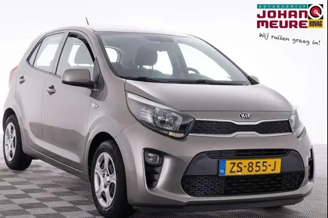 Used KIA PICANTO Petrol 2019 Ad 