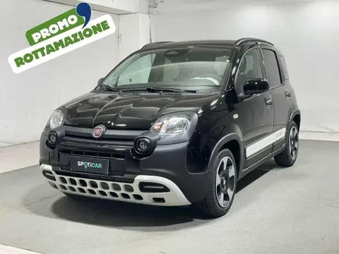 Used FIAT PANDA Hybrid 2024 Ad Italy