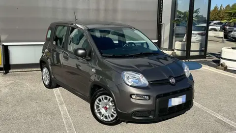 Annonce FIAT PANDA Hybride 2023 d'occasion 