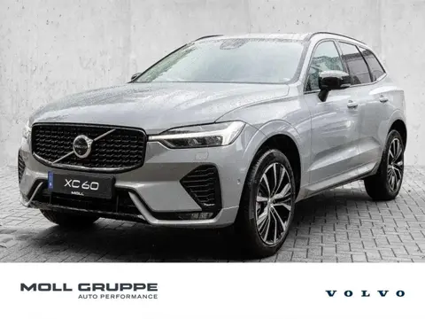 Annonce VOLVO XC60 Diesel 2024 d'occasion 