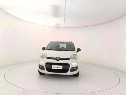 Used FIAT PANDA Petrol 2019 Ad 