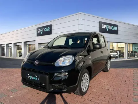 Annonce FIAT PANDA Hybride 2024 d'occasion 