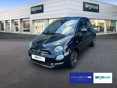 Used FIAT 500 Petrol 2023 Ad 