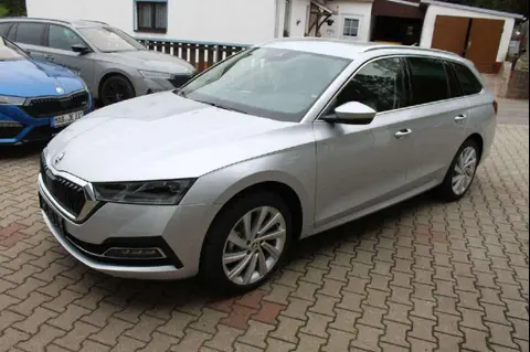 Used SKODA OCTAVIA Petrol 2023 Ad 