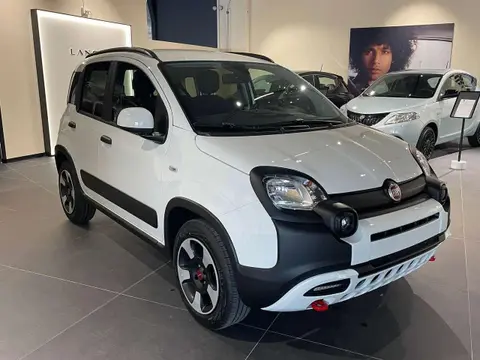 Used FIAT PANDA Hybrid 2023 Ad 