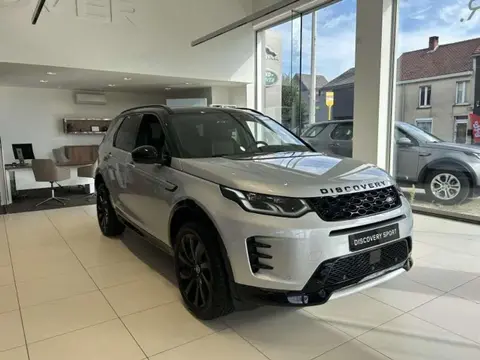 Annonce LAND ROVER DISCOVERY Hybride 2024 d'occasion 