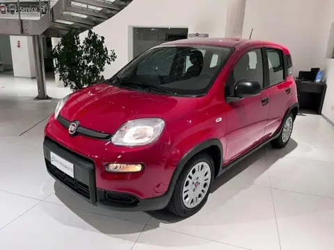 Used FIAT PANDA Hybrid 2024 Ad 