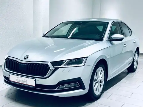 Annonce SKODA OCTAVIA Diesel 2020 d'occasion 