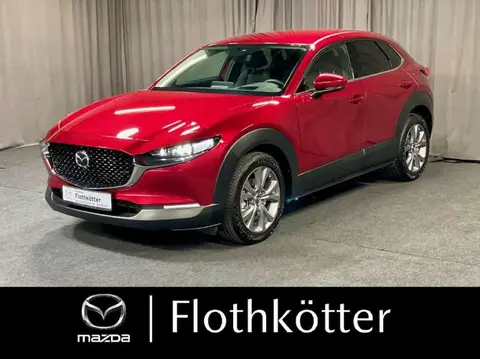 Used MAZDA CX-30 Hybrid 2021 Ad 