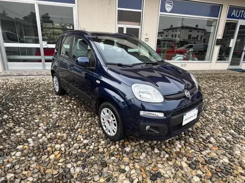 Used FIAT PANDA Petrol 2016 Ad 