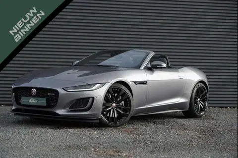 Used JAGUAR F-TYPE Petrol 2023 Ad 