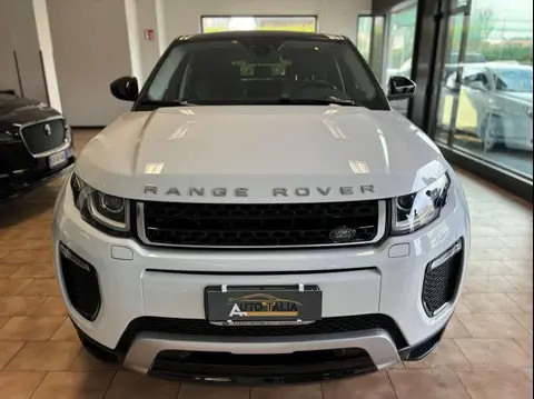 Annonce LAND ROVER RANGE ROVER EVOQUE Diesel 2017 d'occasion 